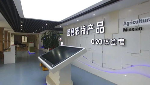 技术驱动发展 岷县电子商务销售额突破2.99亿元背后的软硬件技术咨询力量