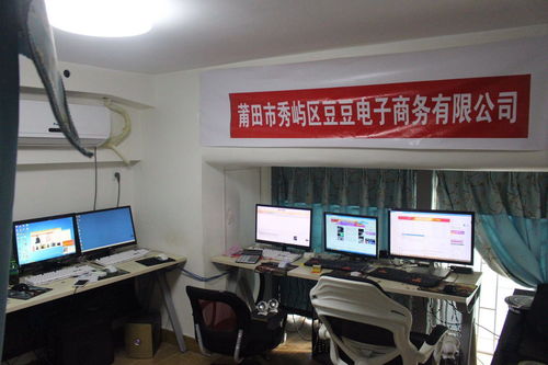 莆田秀屿区豆豆电子商务 信息技术驱动下的区域电商新势力