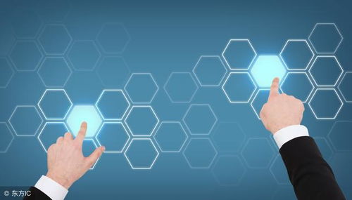 电子商务 基于先进信息技术的现代交易模式