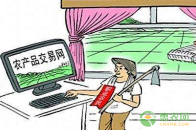 数字技术赋能，邮路变富路 中国邮政电商精准扶贫引领返乡创业新浪潮