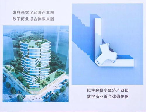 利好桥南、东海 新增商业体批前公示，即将开建