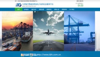 天津航空物流区跨境电子商务信息
